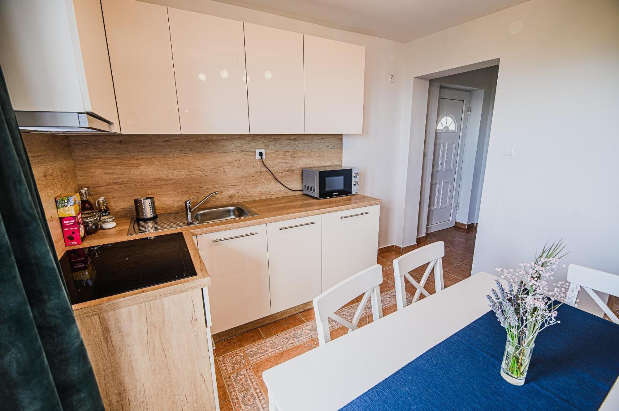 Eko Pony Ranch Ogrizek Apartment Podcetrtek Bilik gambar